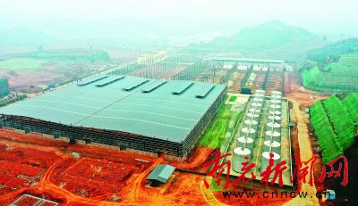 南充白酒“凸”飞猛进