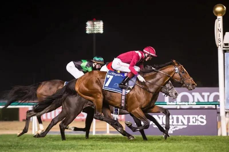 世界马匹排行第一的国家,2020世界马匹排行榜