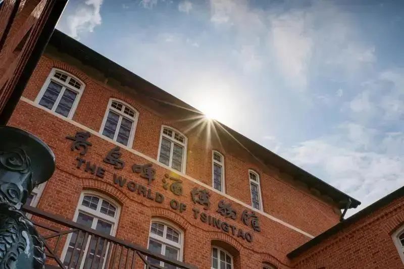 半岛叨叨丨国际博物馆日，*物文**喊你来蹦迪！山东和青岛这些“国宝级”*物文**你知道多少