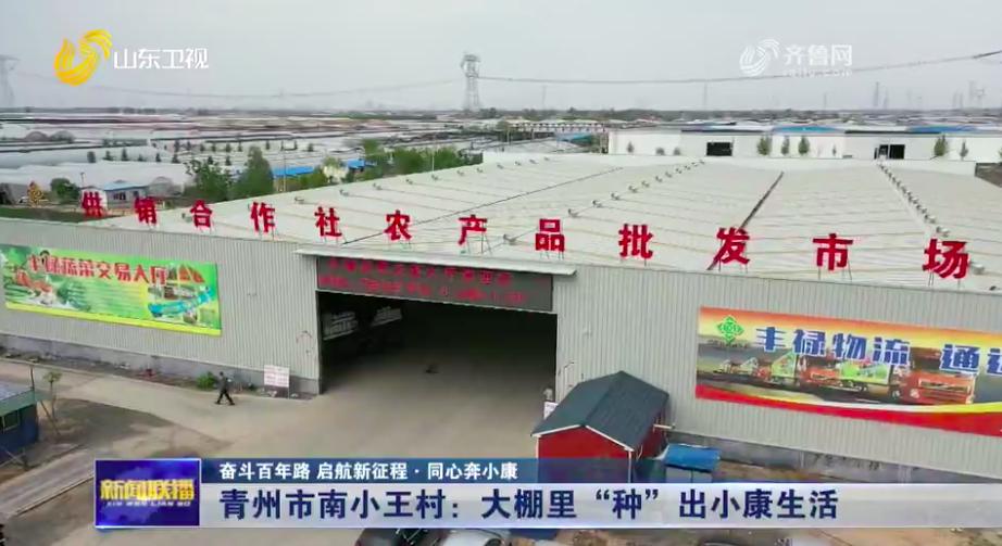 小王庄种植大棚,青州市南小王村