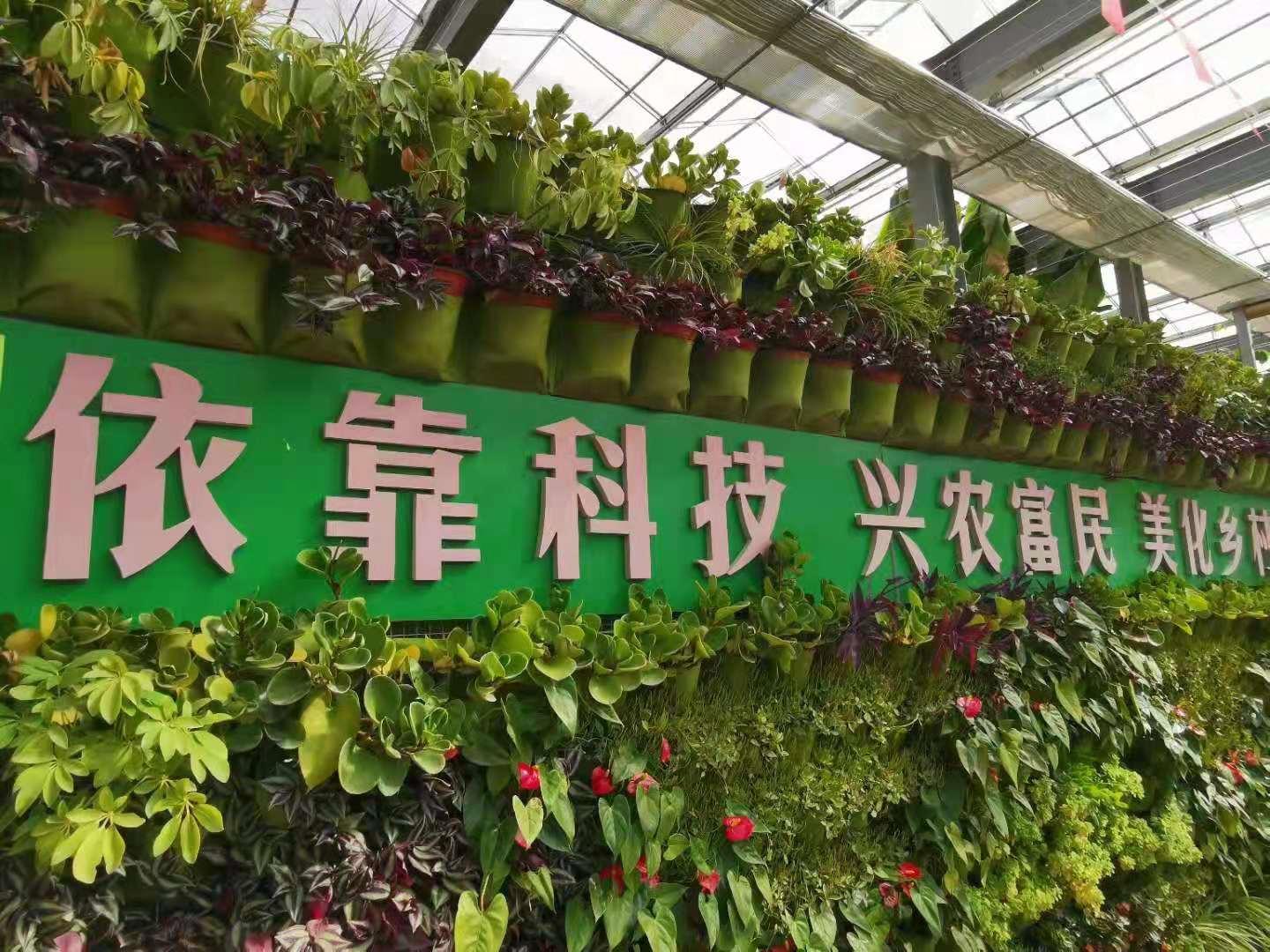 咸阳存留的古镇,咸阳人间仙境