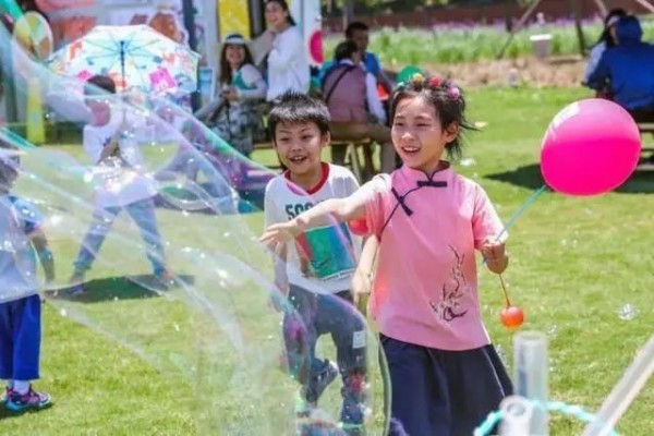 上海紫色花海熏衣草公园,上海最大的薰衣草