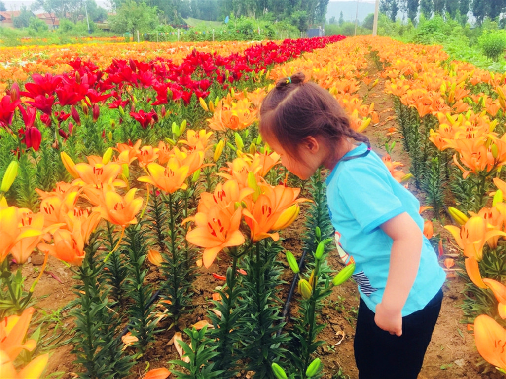 荒地变农场200亩,闲置荒地变良田乡村振兴添活力