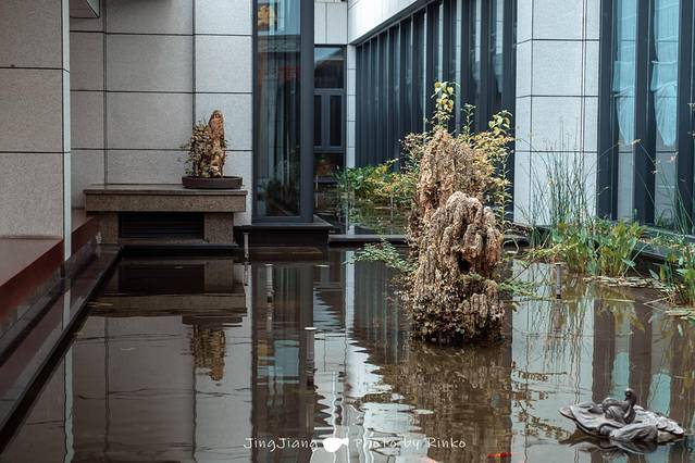 寻味泰州美食绘画,手绘靖江