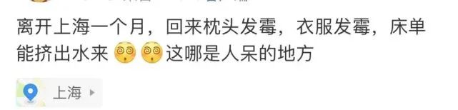 车发霉进icu,车子室内发霉