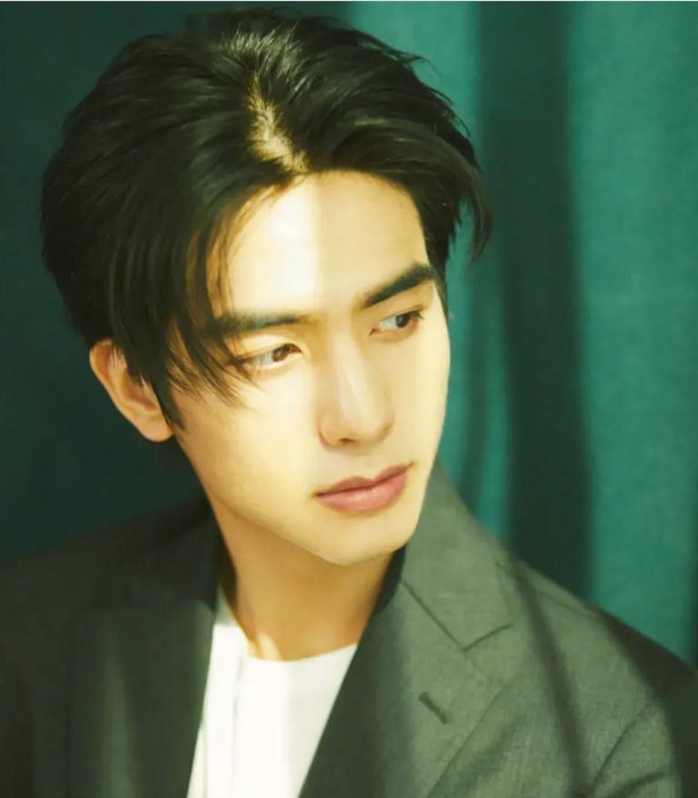 整容失败的男星们,娱乐圈整容艺人