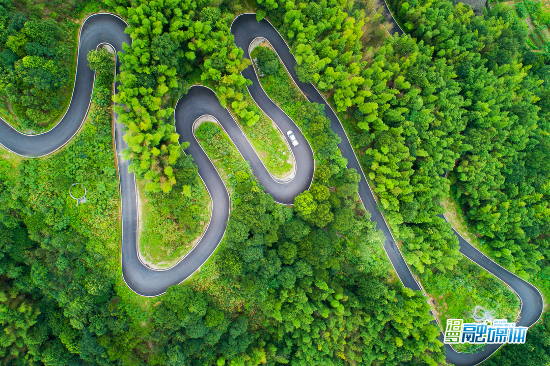 无边光景日日新打一生肖,无边光景日日新