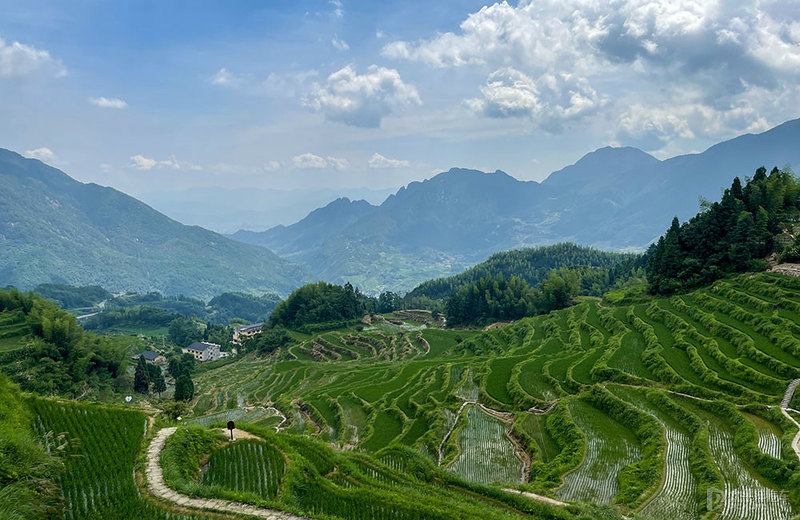 开玛莎拉蒂用车感受,第一次坐玛莎拉蒂的感受