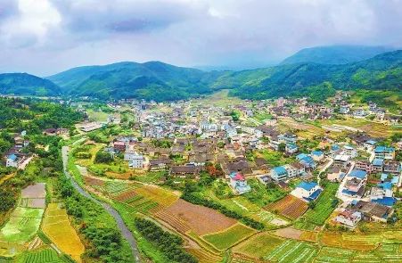 今日头条免费获得一元红包,今日头条领取100元红包