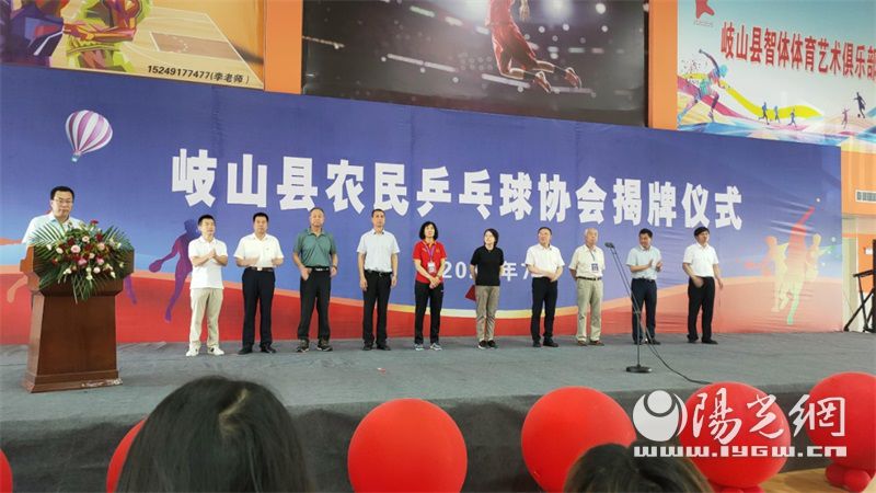 县乒乓球协会组织架构,宝鸡市乒乓球协会具体地址