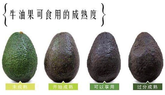 进口水果基础知识大全,进口水果合集推荐品牌