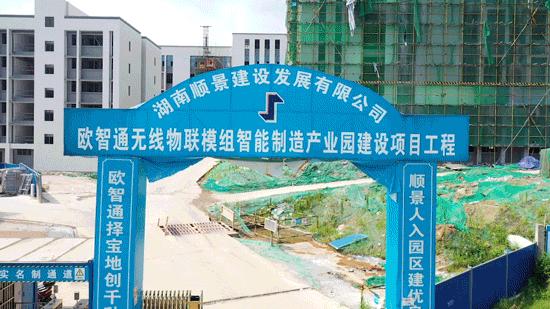 动图运动会,动图赛龙舟