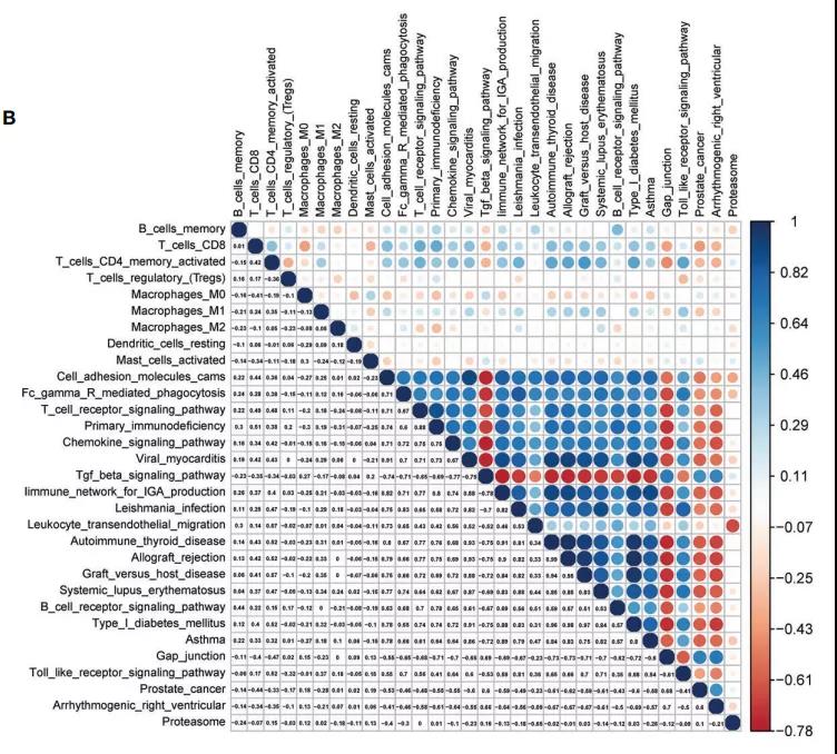 齐鲁医院刘联教授团队联合求臻医学提出晚期胃癌免疫治疗新精准分型指导预后