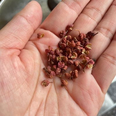 简单又好吃的白灼虾做法,白灼虾的家常做法网红