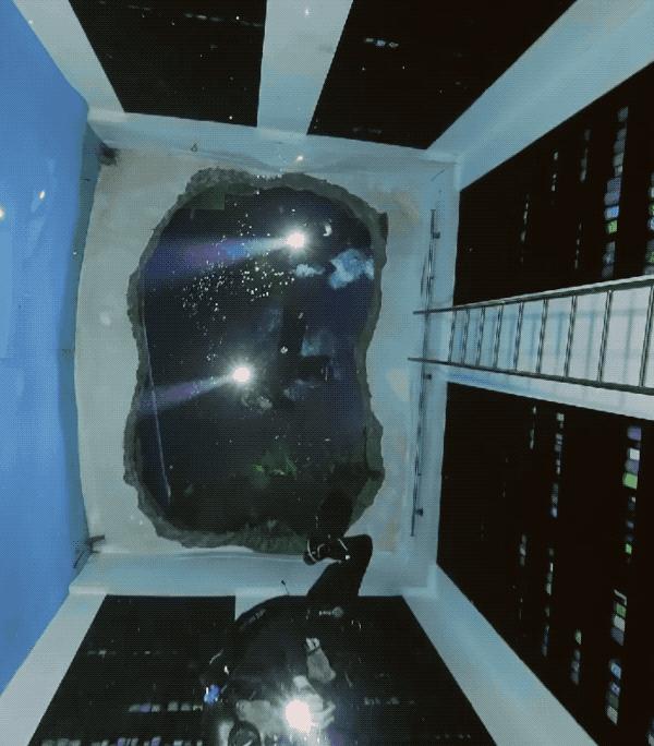 迪拜最深游泳池有鱼吗,世界最深的游泳池怎么去