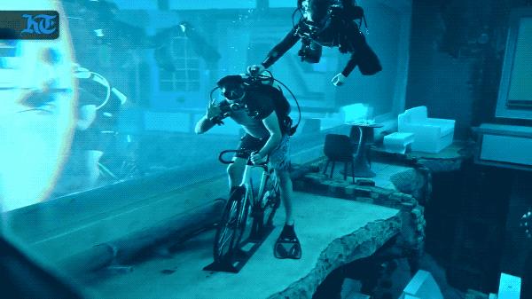 迪拜最深游泳池有鱼吗,世界最深的游泳池怎么去