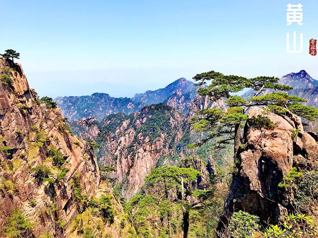 徽州的春天全集,黄山的春天风景