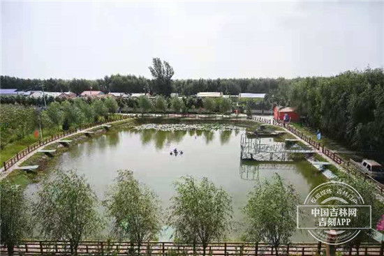 美丽乡村建设与民宿发展感悟,美丽乡村建设与民宿