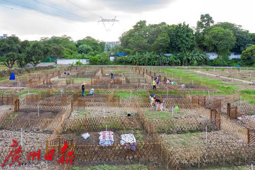 广州海珠区农田园,广州大都市农业园