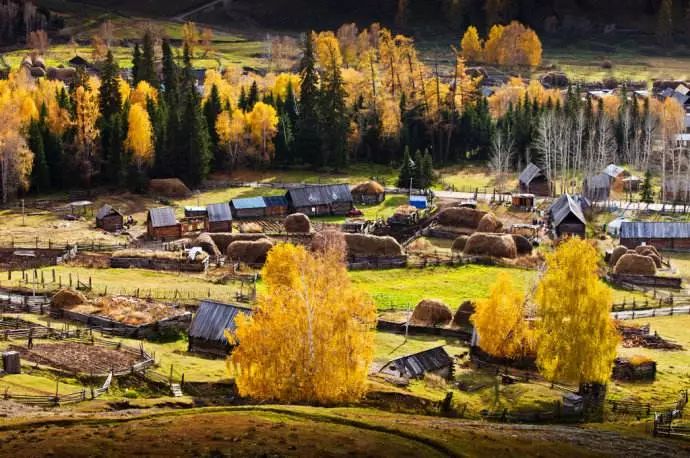 徐兆寿中国文化,徐兆寿作品西行悟道