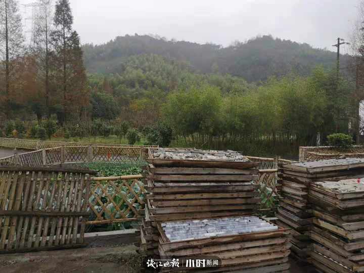 王炸!浙北发现500万吨“夜明珠”,粉、绿、紫、黄各种颜色都有