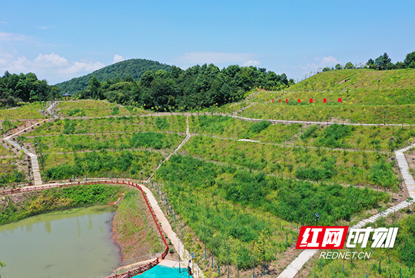 常宁生态修复,常宁保护生态环境