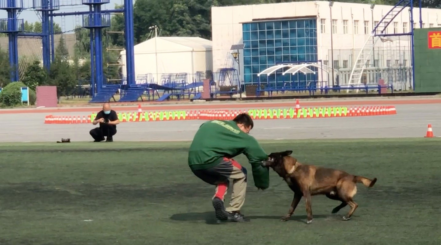 北京警察开放日,公安特警开放日