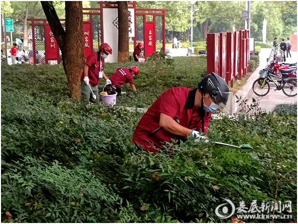 娄底饭店四害消杀,娄底家庭消灭四害