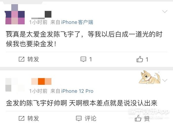 陈伟霆杨洋谁更帅,杨洋陈伟霆电影片段