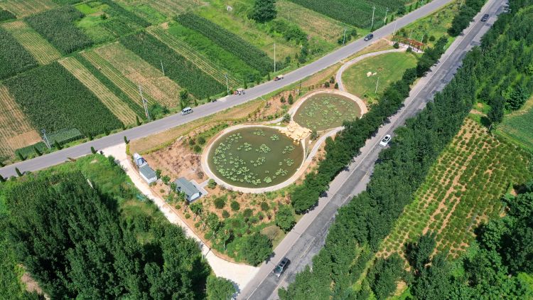 “淄”孜不倦英“淄”勃发淄博市交通运输局奋力书写路域环境整治新答卷