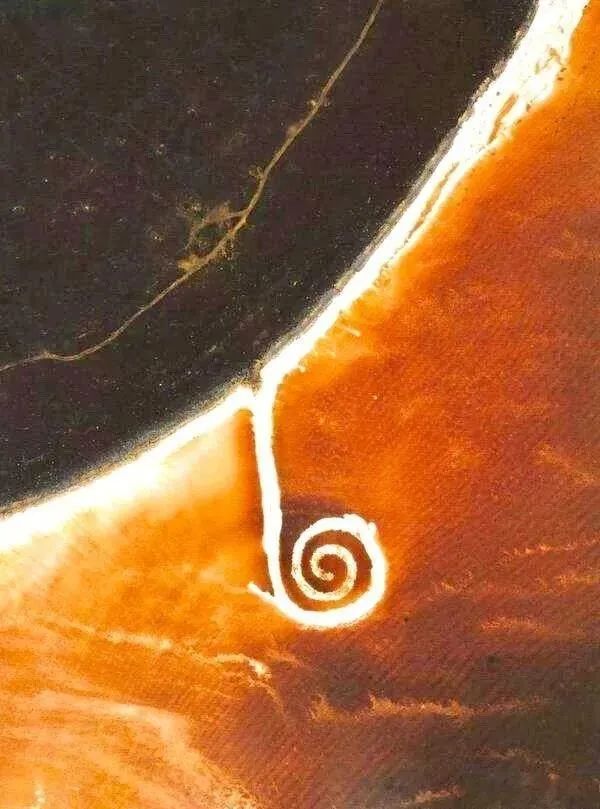 花1个亿把凯旋门包起来,到底作什么“妖”?