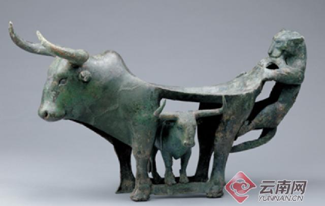 云南大理奇妙博物馆,云南生命博物馆