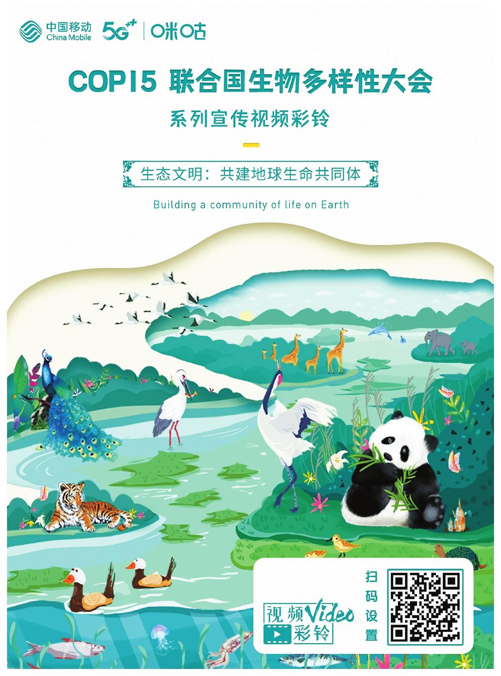 记录大自然保护野生动物,记录大自然保护生态环境