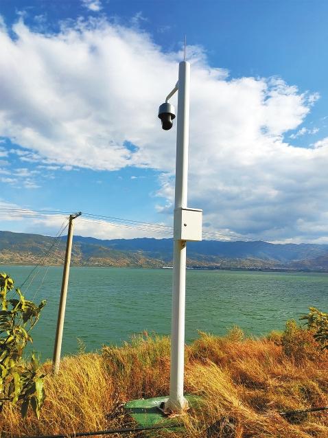 记录大自然保护野生动物,记录大自然保护生态环境