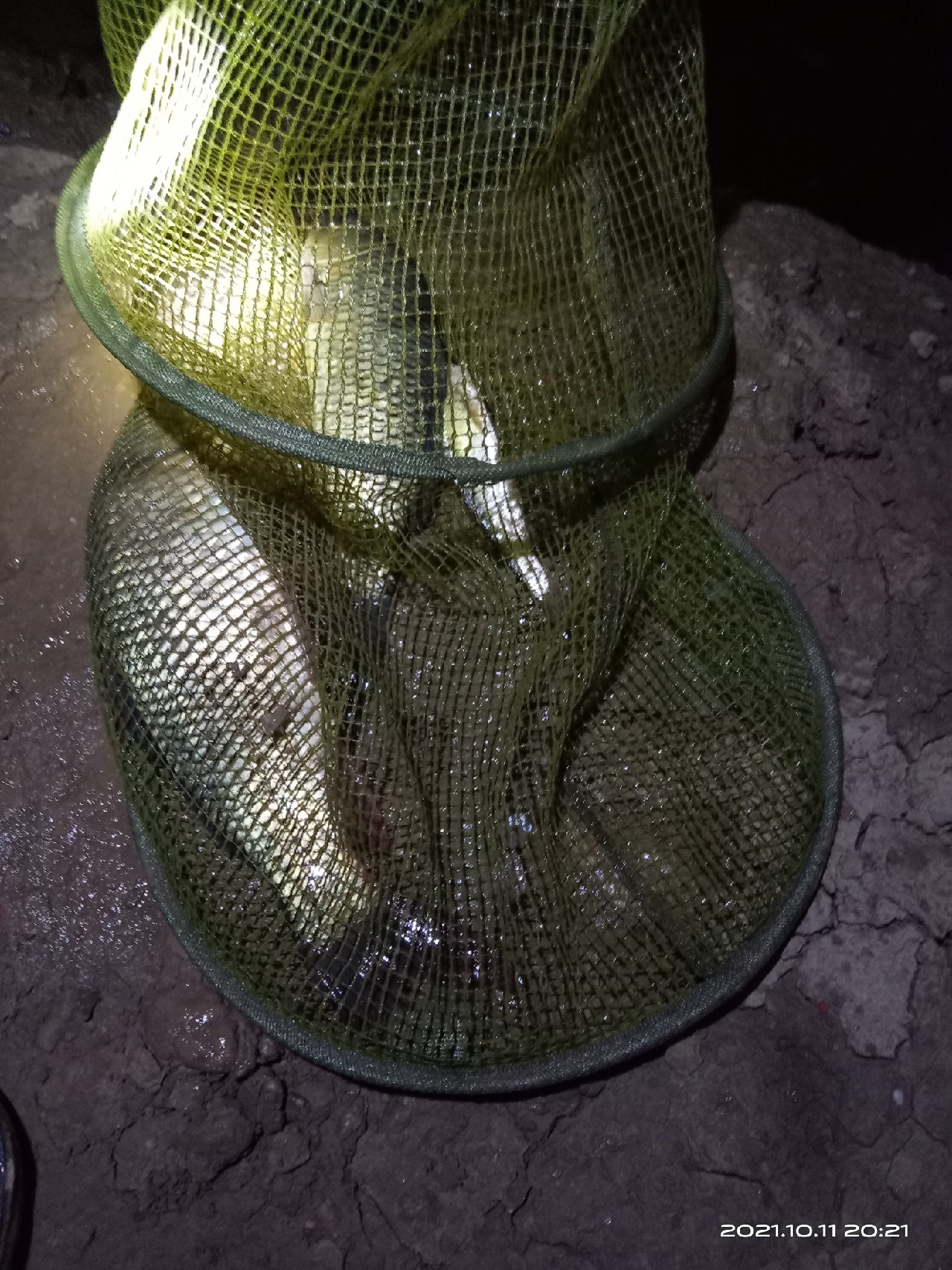 夜钓走水太厉害漂立不起来,夜钓鱼起浮到水面了怎么钓