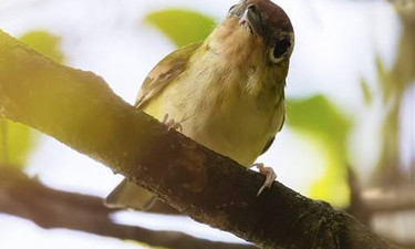 南宁吴圩机场和合肥机场,南宁吴圩机场开通的航班