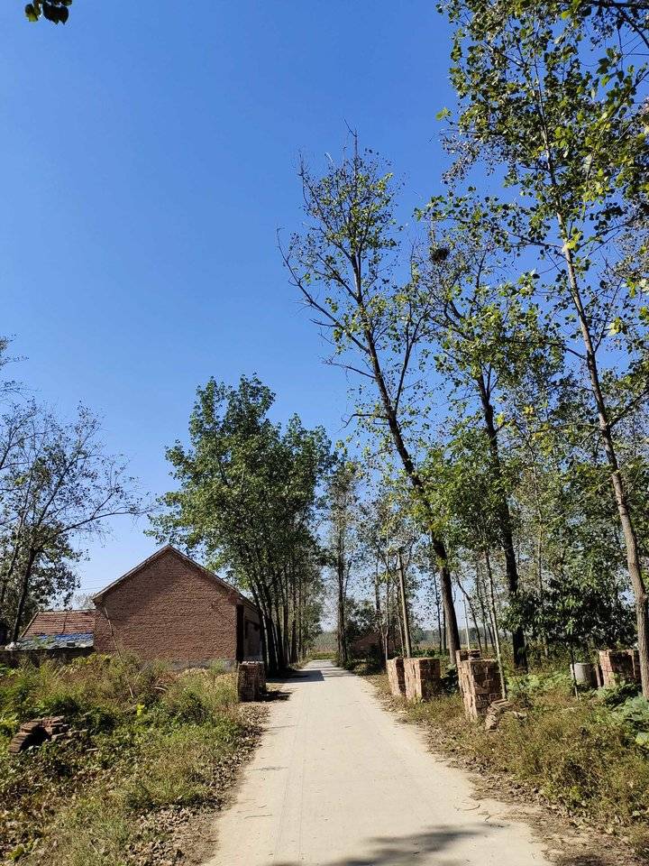 秋天的思念完整版原唱,秋天的思念送给我最牵挂的你