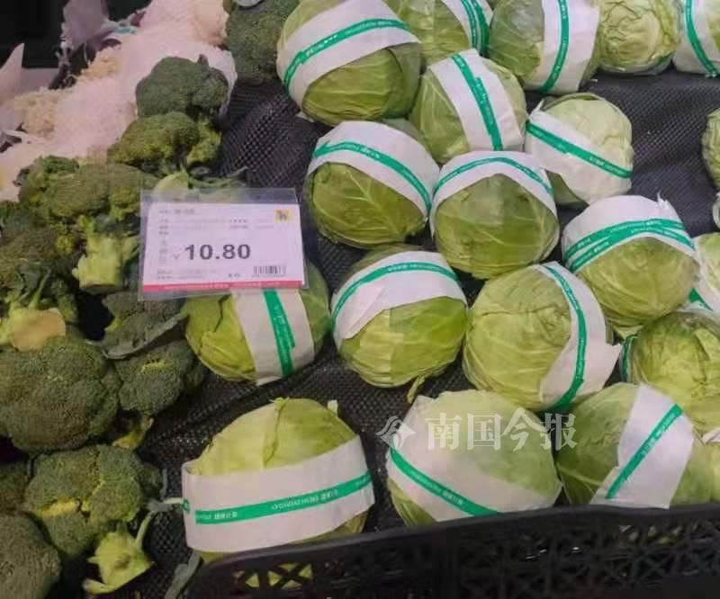 柳州现在什么青菜便宜,柳州青菜贵