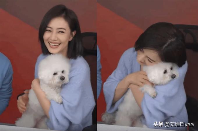 高圆圆一直都很瘦吗,高圆圆瘦吗