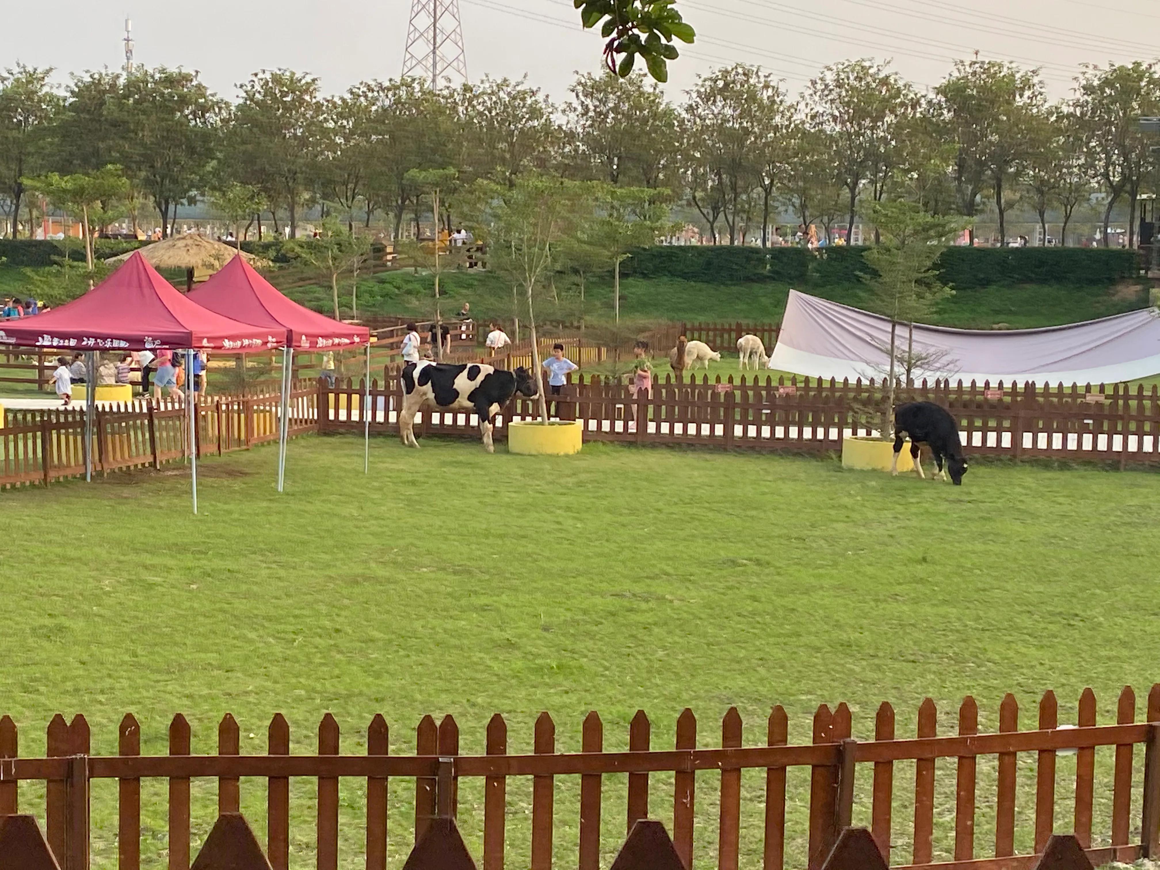 佛山盈香生态园一天玩得完吗,佛山盈香生态园值得去吗