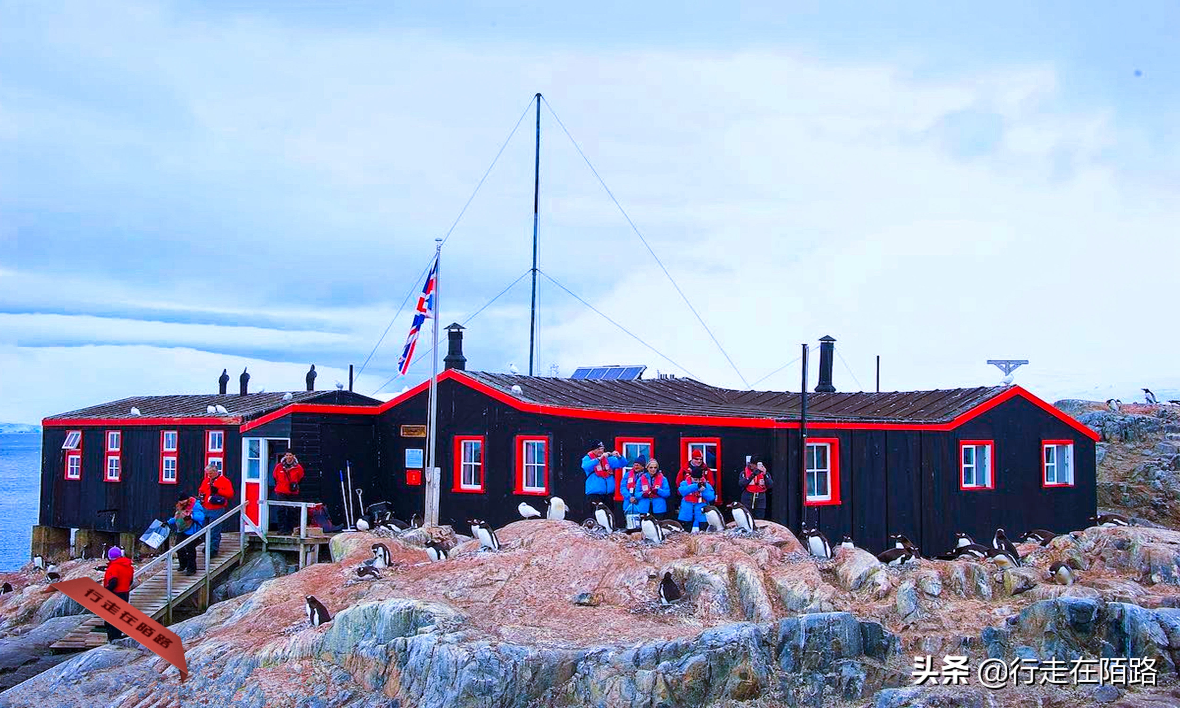 铲屎官招聘,邮局招聘吗