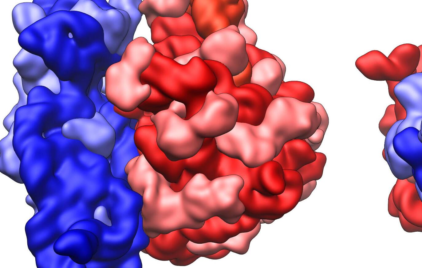 人类返老还童的条件,人类返老还童重大突破
