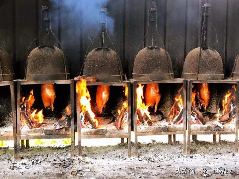 它是初夏“水果之王”，却不知它树身名贵，广东人常用它烧鹅