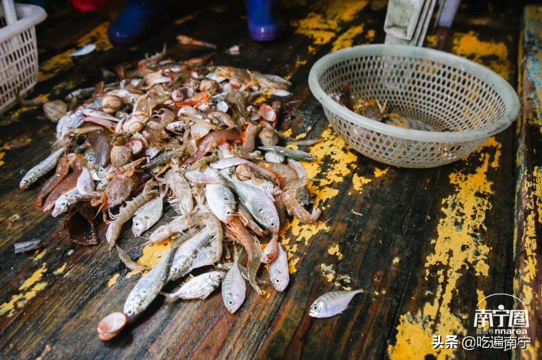 防城港旅游海鲜推荐,最好的海边旅游攻略