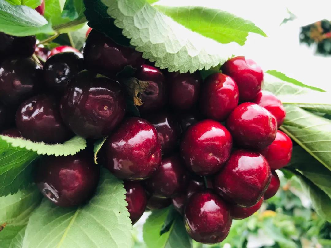 雅安旅行攻略亲子游,雅安市旅行攻略自由行路线