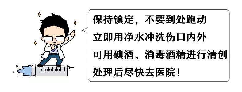 深圳毒蛇分布 (毒蛇高发地区)