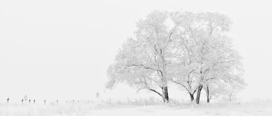 “我去死一死，大家别担心”|一起赶跑抑郁