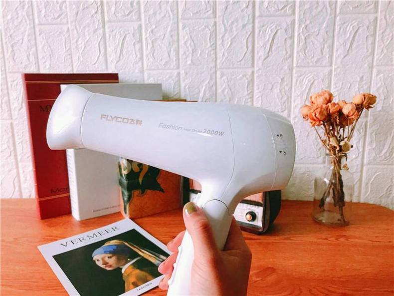 飞科吹风机温控,飞科吹风机负离子六档1800