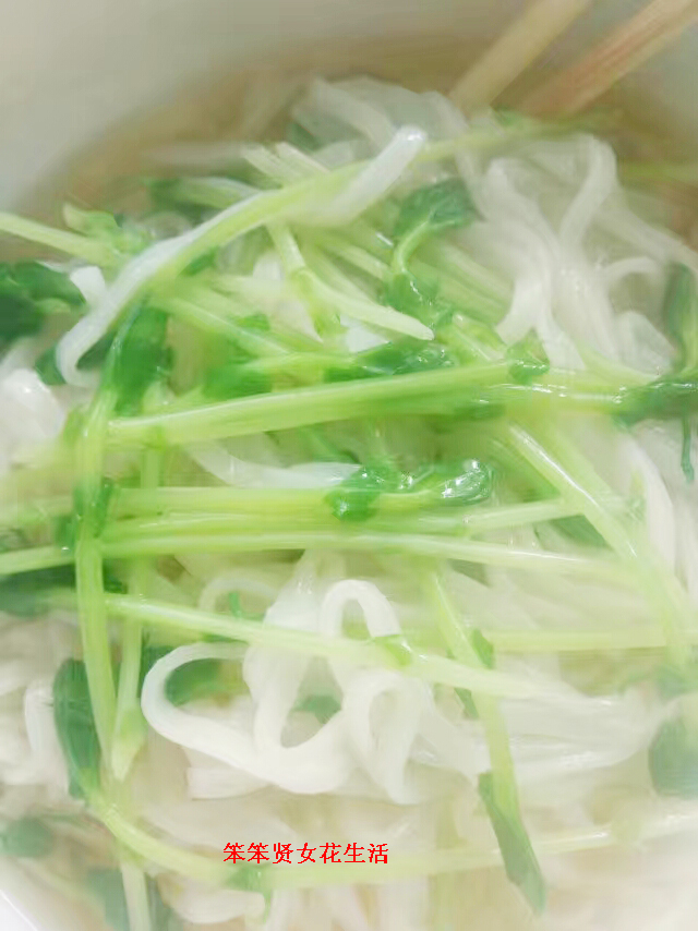 豌豆芽苗菜种植全过程,豌豆芽苗菜种植的成本及利润