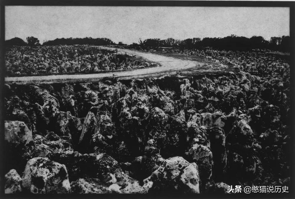 “鸟粪”有什么用？我来告诉你瑙鲁国是靠卖“鸟粪”一夜暴富！